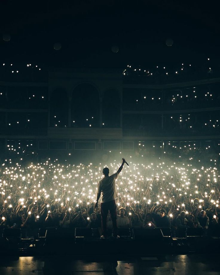 Lights Up — Concert Crowd Poster