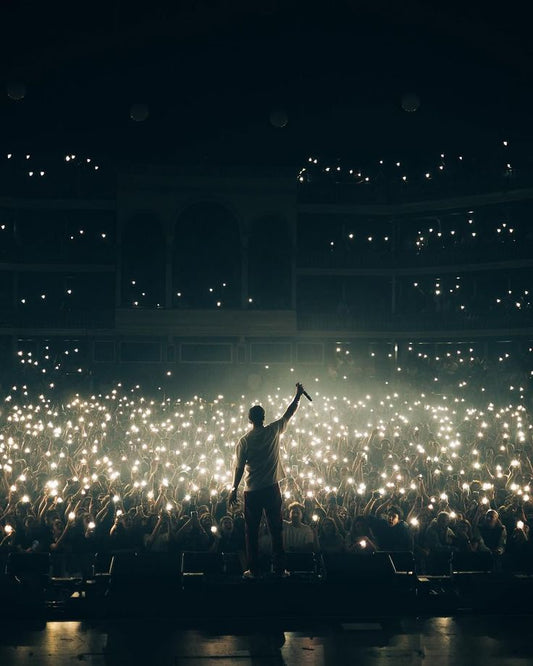 Lights Up — Concert Crowd Poster