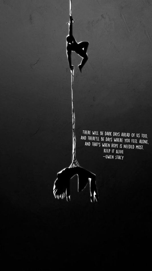 Spider-Man — Hold On Gwen Dark Edition Poster