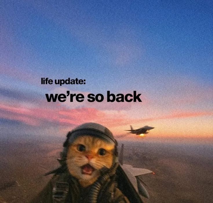 Cat Life Update — Funny Aesthetic Text Poster